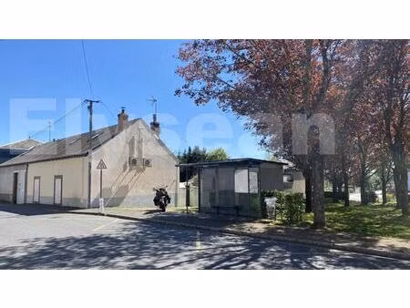 maison de ville avec jardin plein sud