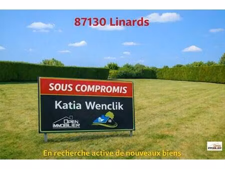 terrain constructible