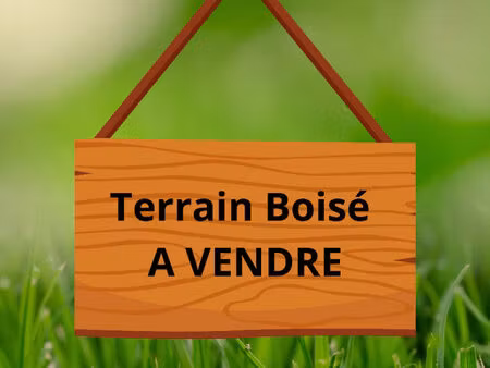 bois de chasse travecy 02100 m2