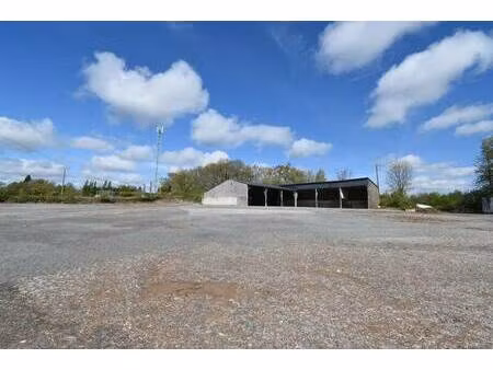 lesellier damien capifrance