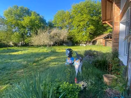 location maison colocation à la chapelle-sur-erdre (44240) : à louer colocation / 125m² la