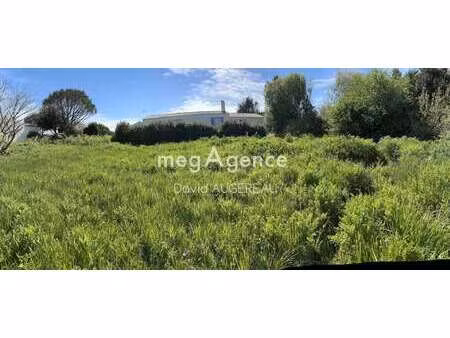 vente terrain à l'île-d'yeu (85350) : à vendre / 1000m² l'île-d'yeu