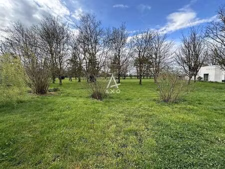 vente terrain à montaigu (85600) : à vendre / montaigu