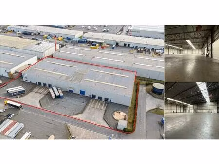 surface industrielle à louer à skaldenstraat 60 desteldonk (rbv70462)