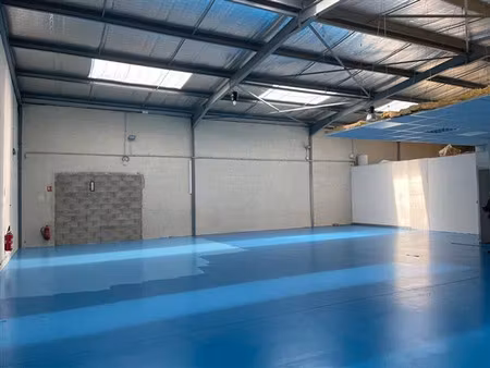 location local d'activités mauguio 395 m²