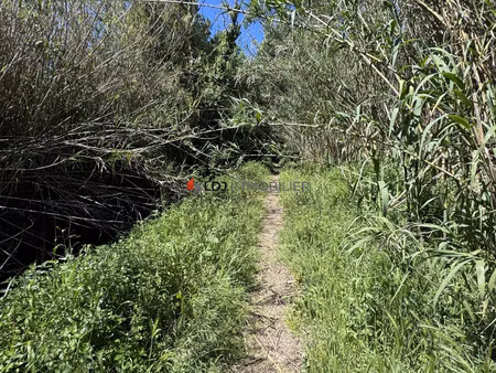 parcelle de terre en nature de landes