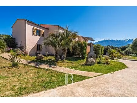 exclusivité  lumio  villa 5 chambres  vue montagnes  piscine  proche plage