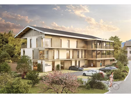 achat local professionnel 30m² chatillon sur cluses 74300