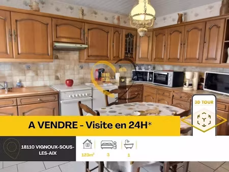 vente maison 5 pièces 123 m² à vignoux-sous-les-aix (18110)  133 000 €