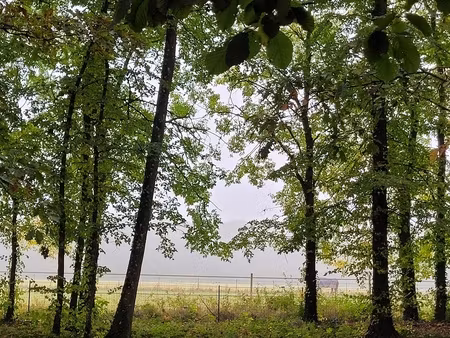 maison 6 pièces - 211 m²