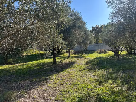achat terrain 1 149m² l isle sur la sorgue 84800