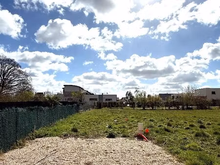 terrain constructible