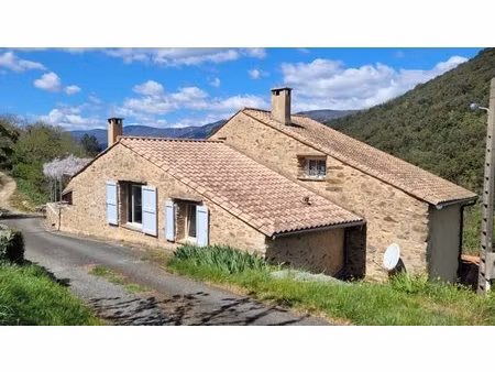 achat : maison (34390)