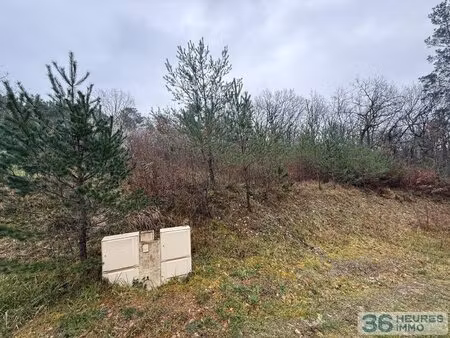 achat : maison (24750)