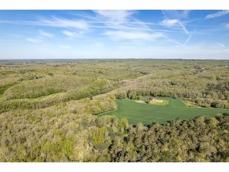 lalinde. sur environ 37 hect magnifique propriete en pierre avec gîte  grange et piscine