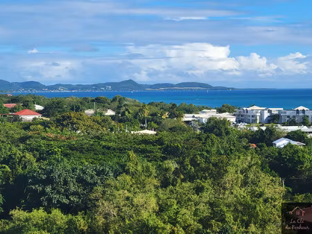 achat appartement 3 pièces 56m² ste luce 97228