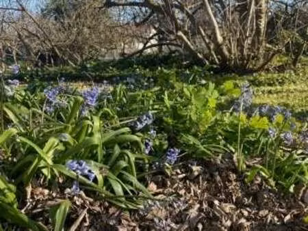 vente terrain à libourne (33500) : à vendre / 430m² libourne