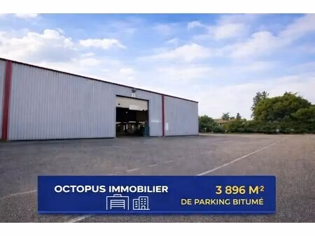 location local d’activités lespinasse 31150 768m²