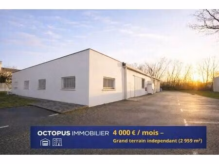 location local d’activités saint alban 31140 699m²