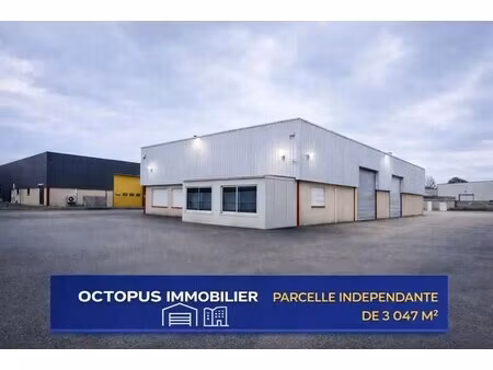 vente local d'activités 480 m²