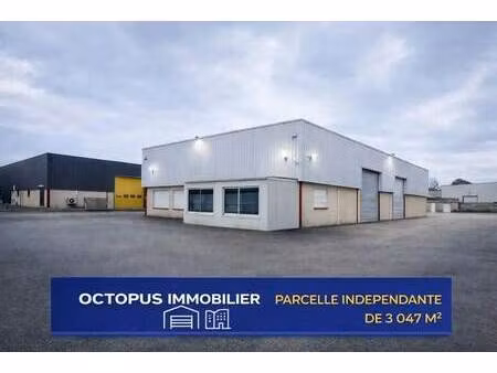 location local d'activités 480 m²