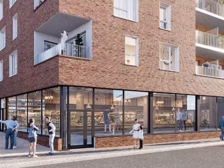 achat local professionnel 293m² caudebec les elbeuf 76320