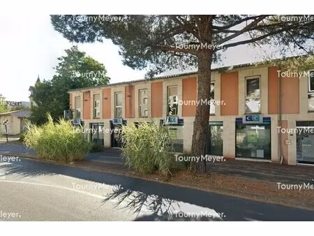 location commerce 219 m²