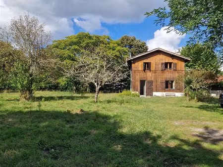 rare – airial landais de 1 7 ha avec 2 habitations + écurie 12 box – idéal gîtes ou projet