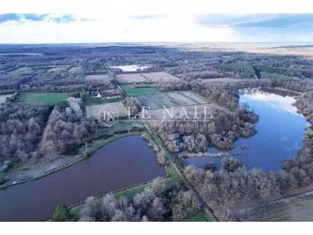 achat maison 8 pièces 250m² salbris 41300