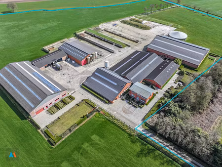 huis te koop in meerle met 3 slaapkamers