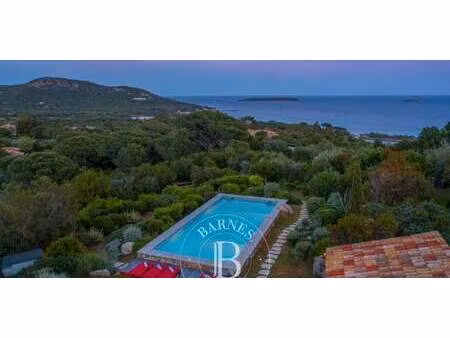 propriété avec piscine porto-vecchio (2a)