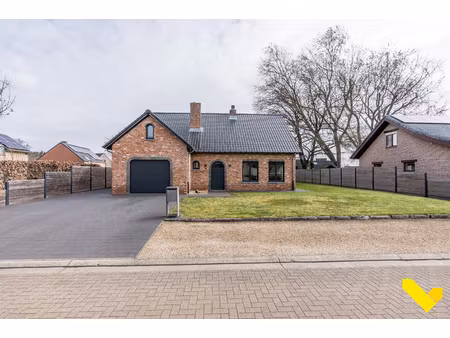 huis te koop in tessenderlo-ham met 4 slaapkamers