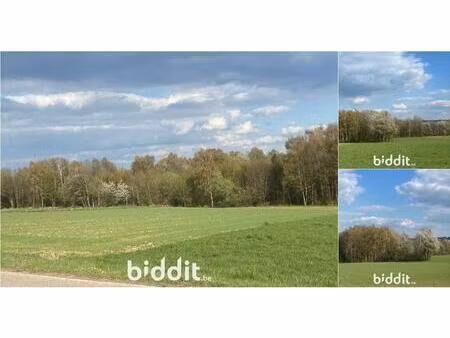 terrain en vente publique de 72667 m² à ortho (vbe10597)