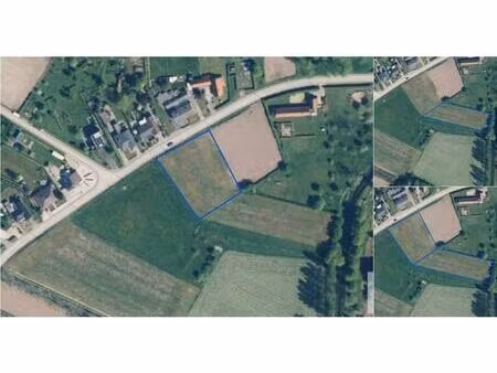 terrain agricole à vendre à bampstraat . wellen (rbv70419)