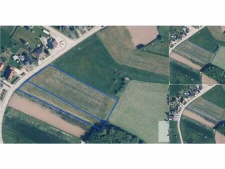terrain agricole à vendre à bampstraat . wellen (rbv70420)