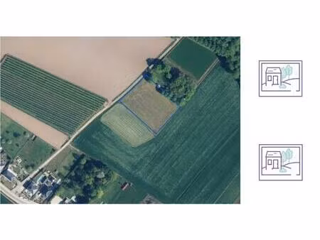 terrain agricole à vendre à het groot russelt veld . wellen (rbv70421)