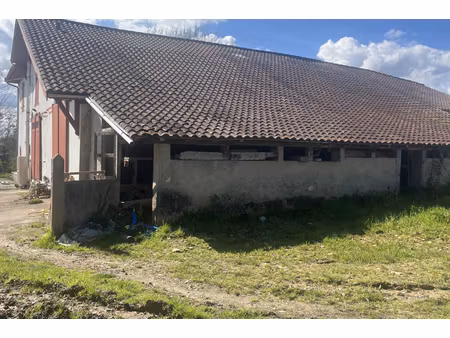 annonce maison à vendre