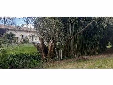 propriété de caractère