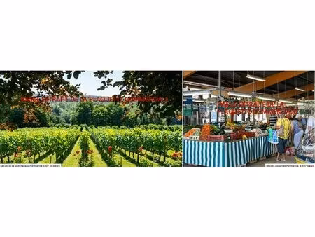 achat : appartement (77310)