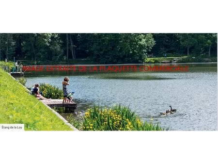 achat : appartement (77400)