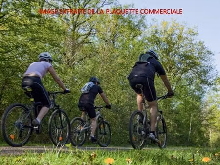 achat : appartement (77127)