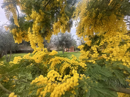 carnoules - votre havre de paix familial : terrain clos et a