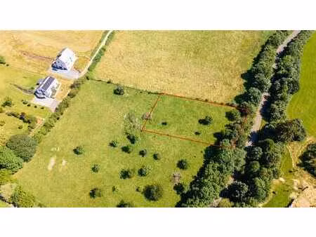 la clairière ensoleillée