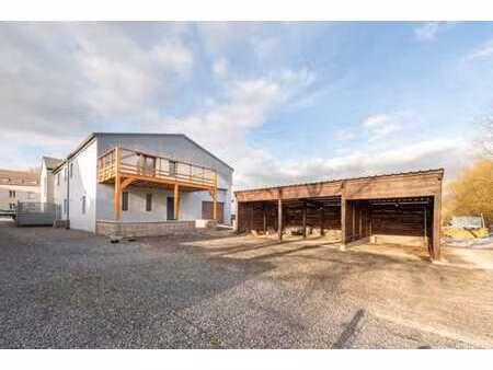 appartement 3 chambres- grande terrasse+ poss. prof libérale