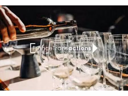 location commerce 250 m²