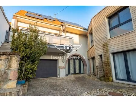 grange rénovée esprit loft avec local pro & grande terrasse