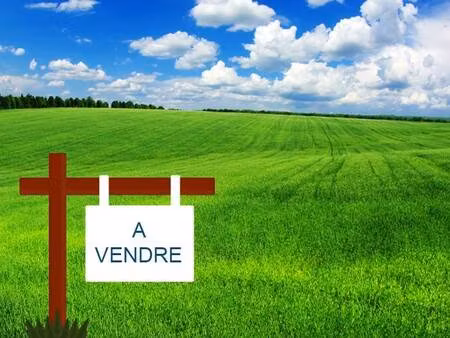 terrain constructible viabilisé à vendre