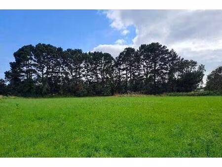 terrain constructible viabilisé à vendre