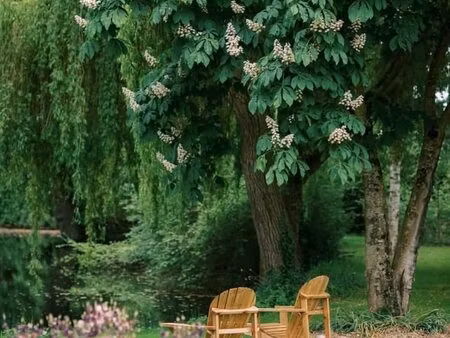 achat : maison (72540)