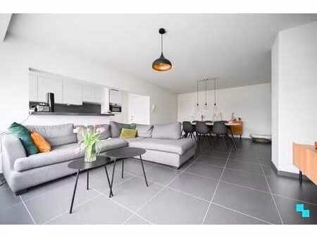 verrassend ruim en compleet gerenoveerd appartement in ha...